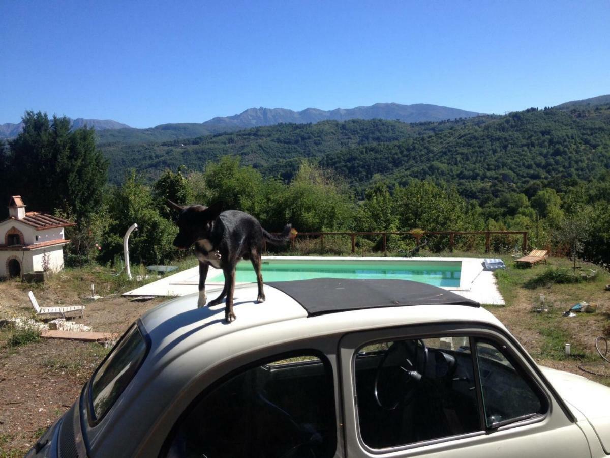 Le Apuane Guest House Mezzana  Екстериор снимка