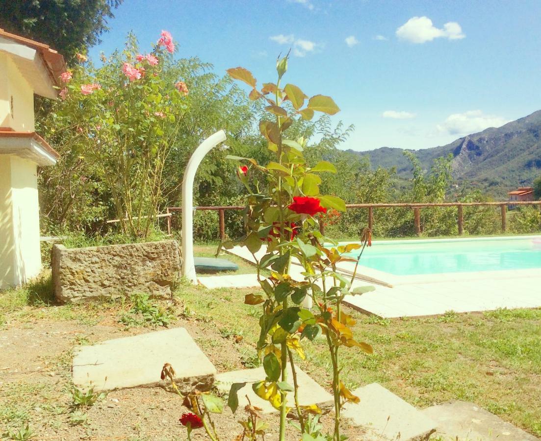 Le Apuane Guest House Mezzana  Екстериор снимка